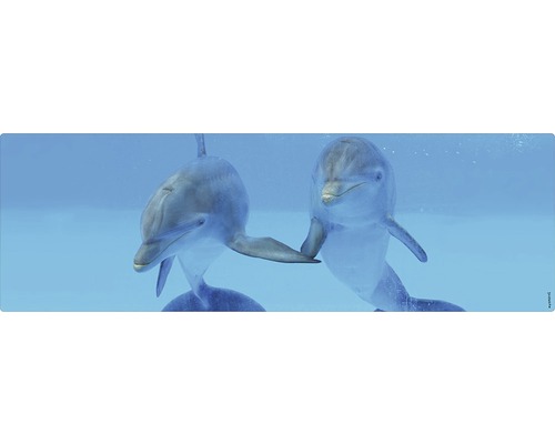 Badrückwand mySpotti Aqua Delphin 1400x450x2 mm 151438 blau Dekoratives Bild von zwei Delfinen unter Wasser