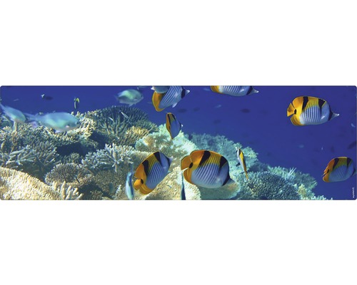 Badrückwand mySpotti Aqua Unterwasser 1400x450x2 mm 151439 blau Dekoratives Unterwassermotiv mit Fischen und Korallenriff