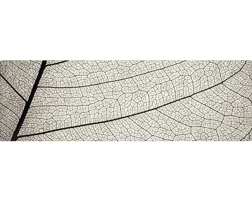 Badrückwand mySpotti Aqua Struktur 1400x450x2 mm 151440 grau Nahaufnahme der Struktur eines Blattgerippes