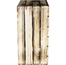 Vintage Obstkiste mit 2 Regalböden geflammt 61x50x31 cm