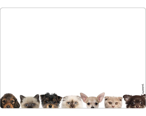 Memoboard mySpotti memo Best friend 590x410x2 mm Schreibtischunterlage mit Katzen und Hunde Motiven
