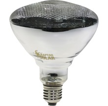 Solar-Glühbirne für Terrarien