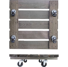 Pflanzenroller WagnerSystem Kiefer 38x38 cm Tragkraft 150 kg braun