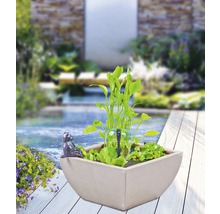 Wassergarten Heissner 75x75x30 cm creme