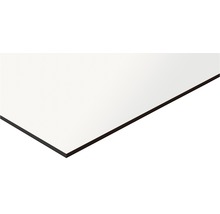Kompaktplatte Platte melaminharzbeschichtet weiß 2440,0 x 1220,0 x 6,0 mm-thumb-0