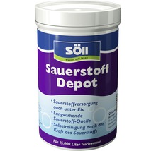 Söll Sauerstoff Depot für 15000 Liter Teichwasser