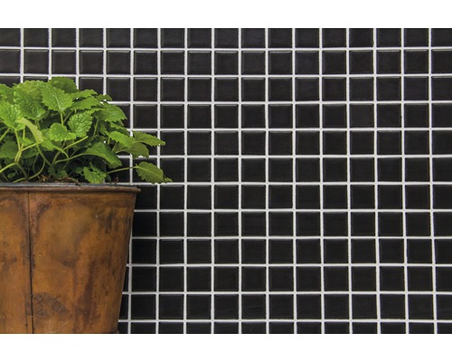 Wandfliese mit Mosaikmuster und Pflanze im Topf