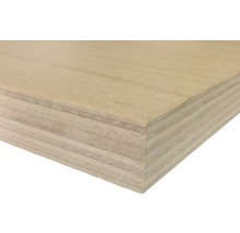 Multiplexplatte Platte geschliffen naturbelassen 2200 x 1250 x 18 mm-thumb-1