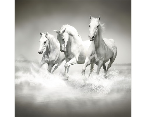 Glasbild White Horses 20x20 cm