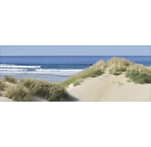 Strandhafer auf Sanddüne mit Meerblick