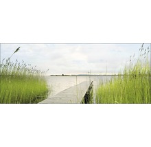 Holzsteg führt ins Wasser zwischen Schilf