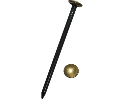 Stahlnägel m. Messing Flachkopf 2 x 25 mm gebläut, 24 Stück Ziernägel mit einem Kopf aus Messing