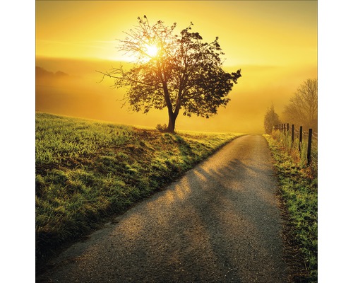 Ein Weg führt durch eine Landschaft mit einem Baum im Morgenlicht.