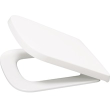Toilettendeckel aus Kunststoff
