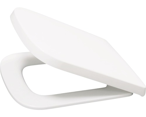 Toilettendeckel aus Kunststoff