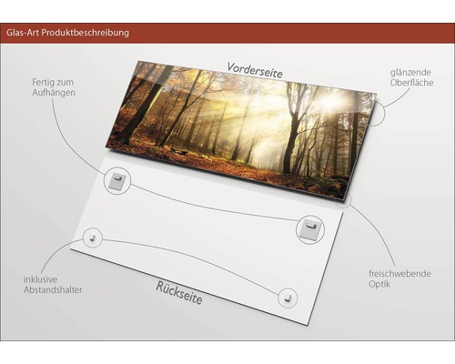 Glasbild mit Waldmotiv, inklusive Abstandshalter zur Wandmontage