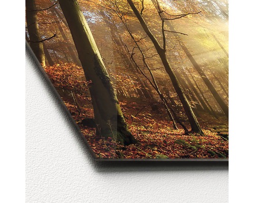 Dekobild mit Herbstwaldmotiv auf Acrylglas