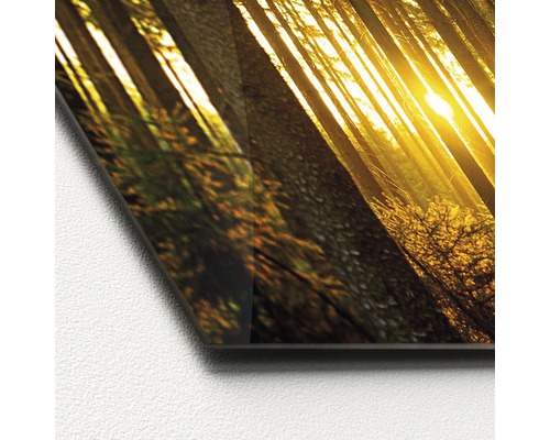 Glasbild mit Waldmotiv und Sonnenschein
