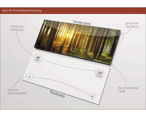 Produktbeschreibung Glasbild mit Waldmotiv, Aufhängern und Abstandshaltern