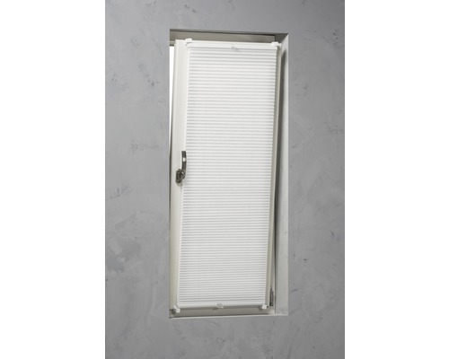 Fenster mit Plissee-Rollo zur Lichtregulierung