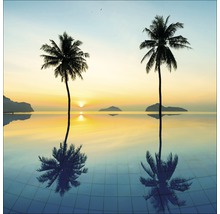 Sonnenaufgang hinter zwei Palmen, die sich im Wasser spiegeln