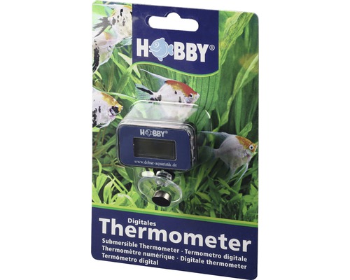 Thermometer HOBBY digital