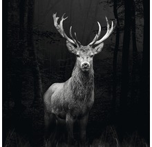 Hirsch im Wald