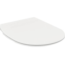 Toilettendeckel