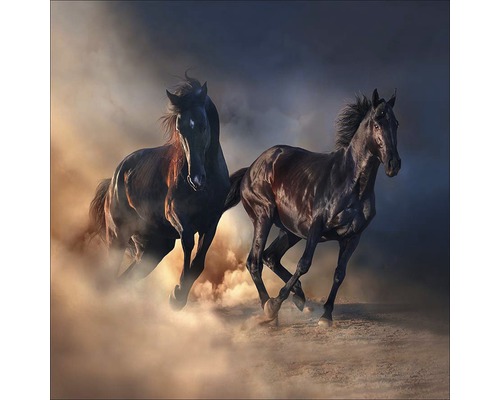 Glasbild Two running Horses 50x50 cm GLA2029