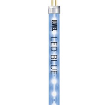 Juwel Aquarium LED Röhre blau