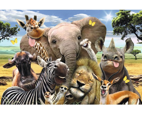 Maxi Poster Wildlife Funnies 61x91,5 cm