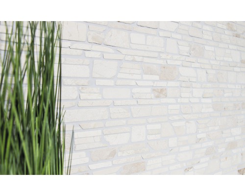 Wandverkleidung aus Naturstein mit Gräsern im Vordergrund