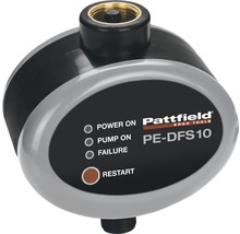 Pattfield PE-DFS 10 Hauswasserautomat