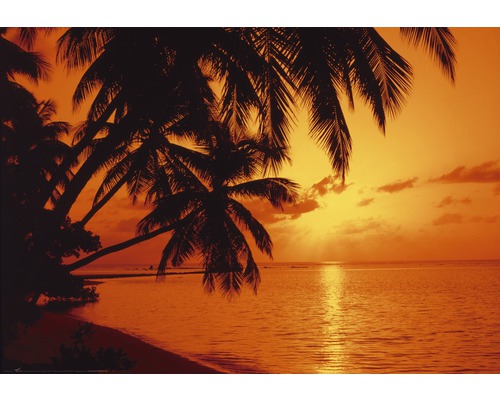 Fototapete Papier 97276 Tropic Sunset 7-tlg. 350 x 260 cm