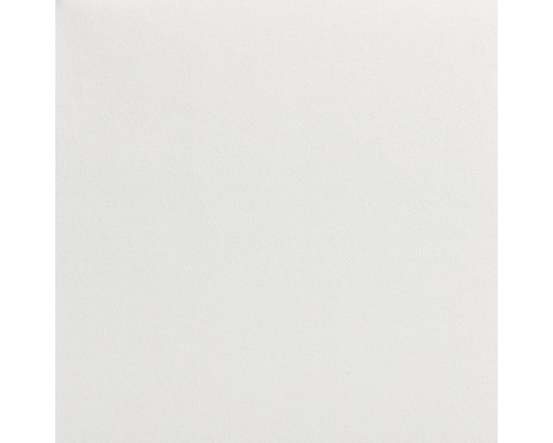 LECO Malerglasvlies weiß pigmentiert 195 g/m² 50 m x 1 m