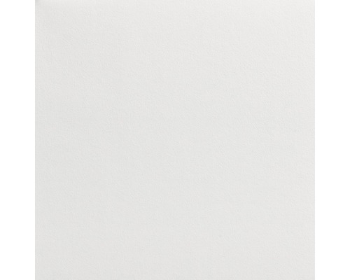 LECO Malerglasvlies weiß pigmentiert 195 g/m² 50 m x 1 m Weißes Papier