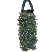 Hängetasche mit Stiefmütterchen