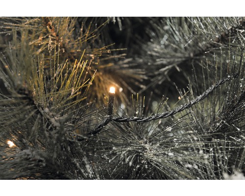 Nahaufnahme einer Lichterkette auf einem Weihnachtsbaum