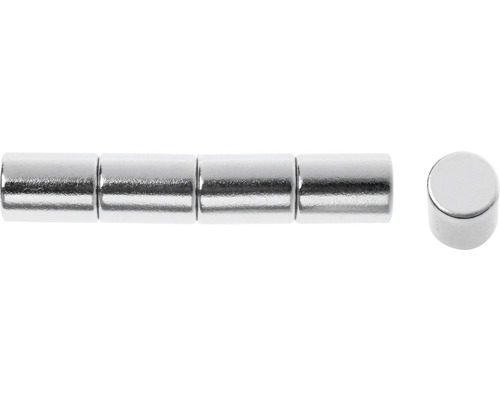 Dekomagnete Zylinder silber 8 mm Ø 6 mm 6er-Set