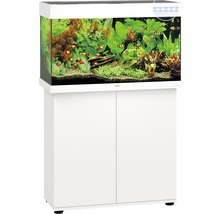Komplettes Aquarium mit Unterschrank und Dekoration