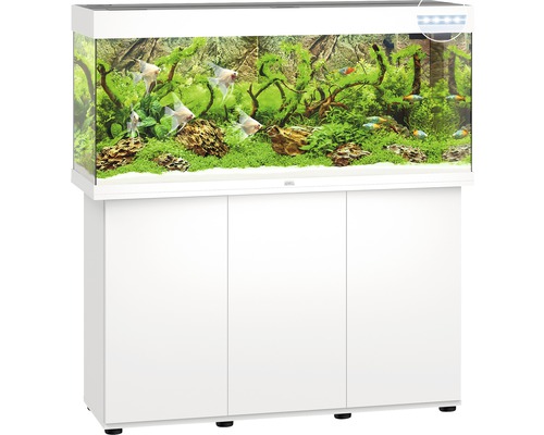 Aquarium mit Unterschrank und Dekoration
