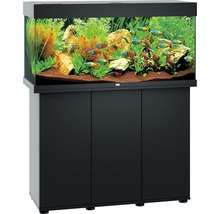 Aquarium mit Unterschrank, bepflanzt und mit Fischen besetzt