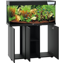 Schwarzes Aquarium mit Unterschrank, Pflanzen und Fischen