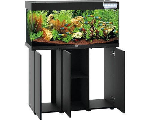 Schwarzes Aquarium mit Unterschrank, Pflanzen und Fischen