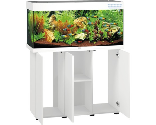 Aquarium mit Unterschrank und Dekoration