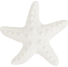 Seestern Dekoration