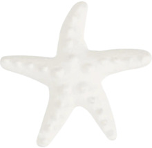 Dekorative Seesternfigur
