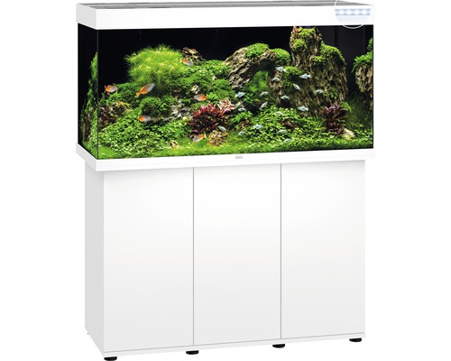 Komplettes Aquarium mit Unterschrank, Pflanzen, Steinen und Fischen