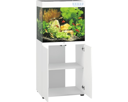 Komplettes Aquarium mit Fischen, Pflanzen und Unterschrank