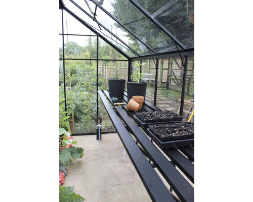 Aluminiumtisch Halls Blockley Giebelseite Integrierter Tisch 249x64 cm schwarz Gewächshausinnenausstattung mit Regal, Pflanztöpfen und Anzuchtschalen.